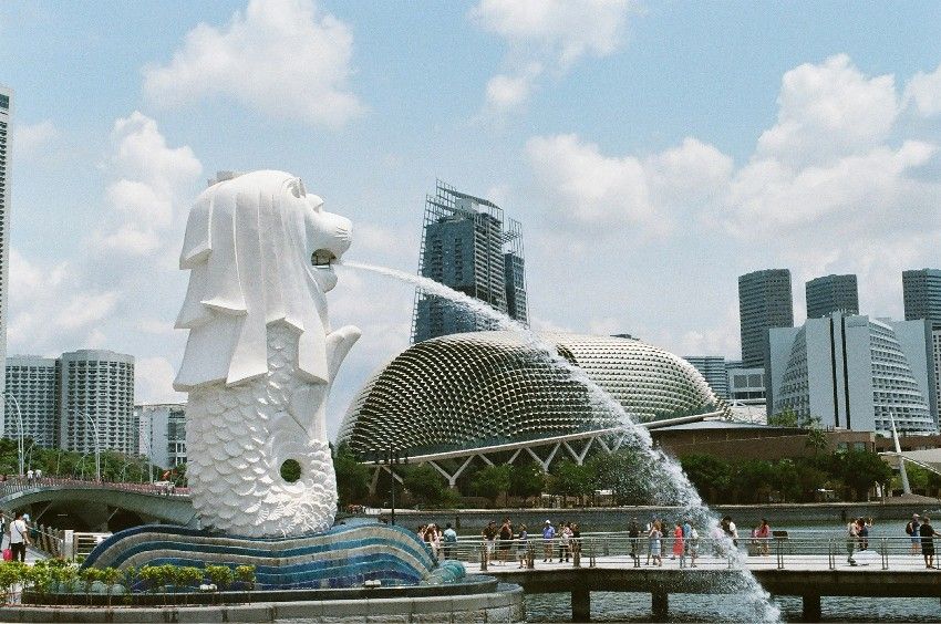 World Aquatics Championships - Singapore 2025